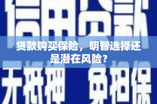花地玛堂区贷款购买保险，明智选择还是潜在风险？