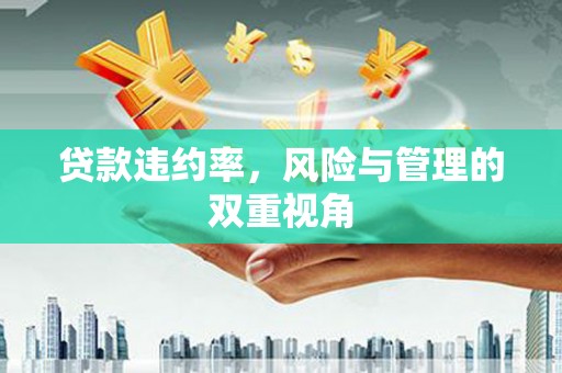 门头沟贷款违约率，风险与管理的双重视角