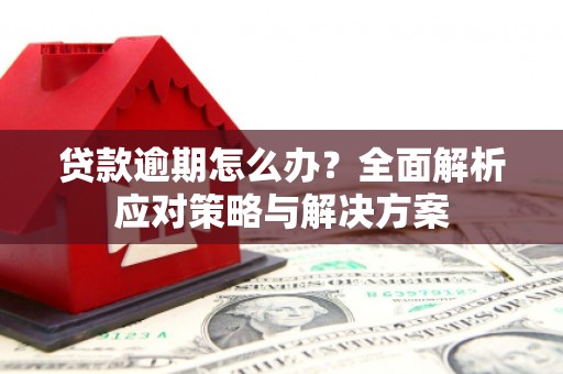 伊吾贷款逾期怎么办？全面解析应对策略与解决方案