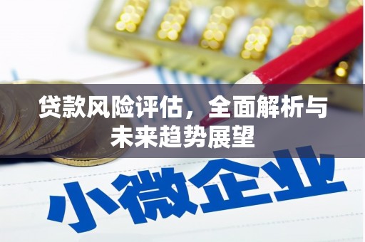 东阿贷款风险评估，全面解析与未来趋势展望