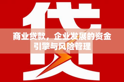 鹤岗商业贷款，企业发展的资金引擎与风险管理