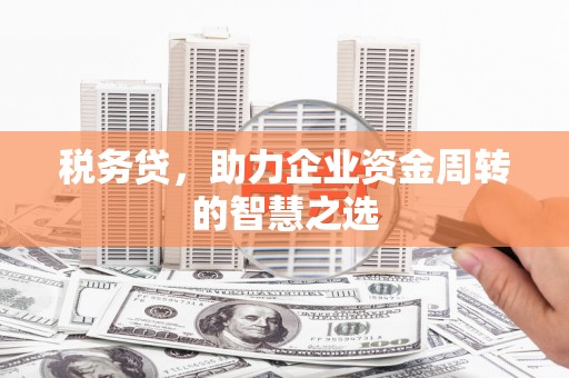 冕宁税务贷，助力企业资金周转的智慧之选