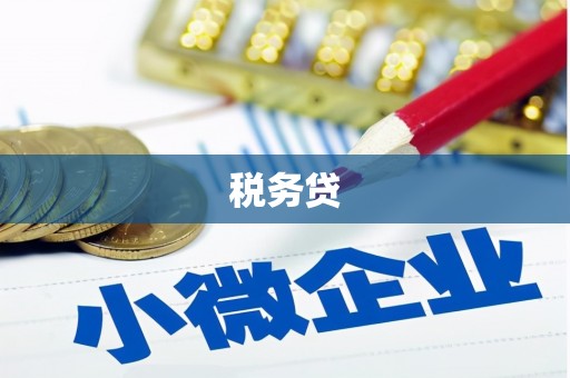 中宁税务贷