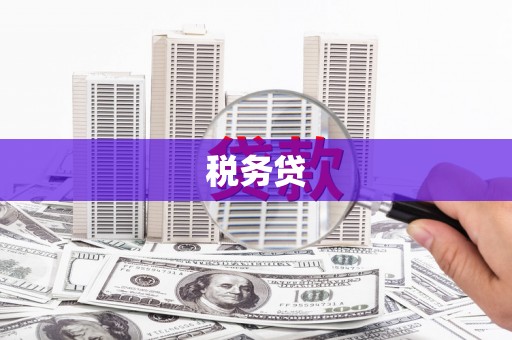 都江堰税务贷