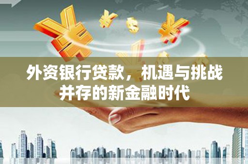南安外资银行贷款，机遇与挑战并存的新金融时代