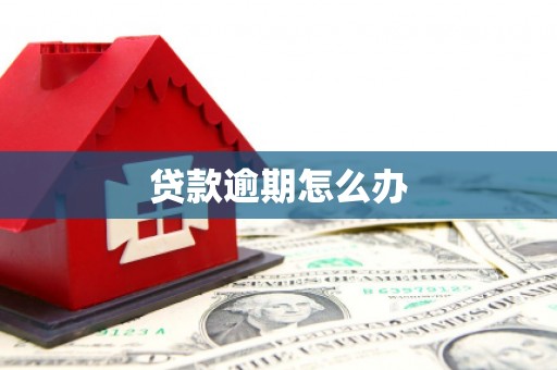 依兰贷款逾期怎么办