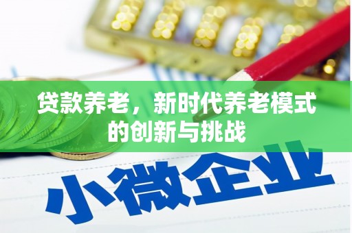 大朗贷款养老，新时代养老模式的创新与挑战