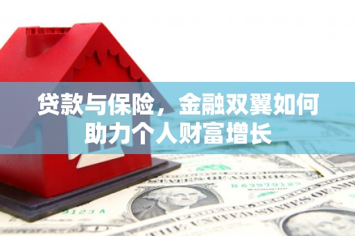 工布江达贷款与保险，金融双翼如何助力个人财富增长