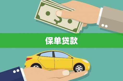 临漳保单贷款
