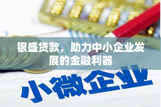 惠安银盛贷款，助力中小企业发展的金融利器