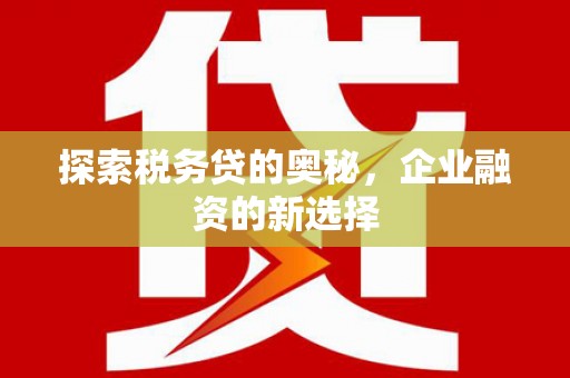 广汉探索税务贷的奥秘，企业融资的新选择