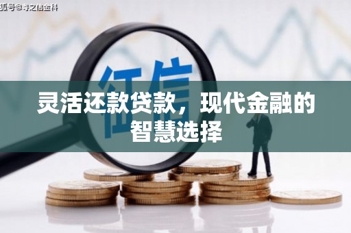 苓雅灵活还款贷款，现代金融的智慧选择