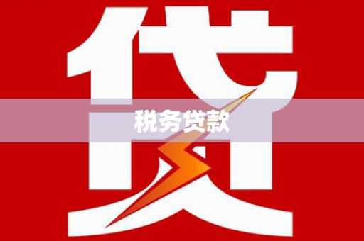 芎林税务贷款