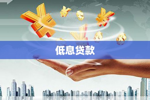 临漳低息贷款