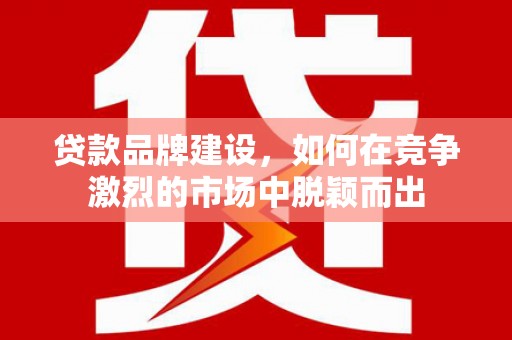 泽普贷款品牌建设，如何在竞争激烈的市场中脱颖而出