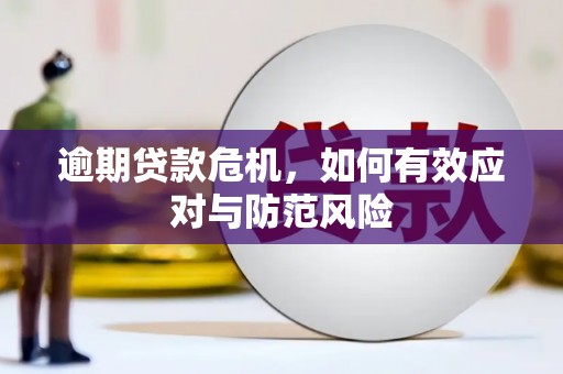 沙鹿逾期贷款危机，如何有效应对与防范风险