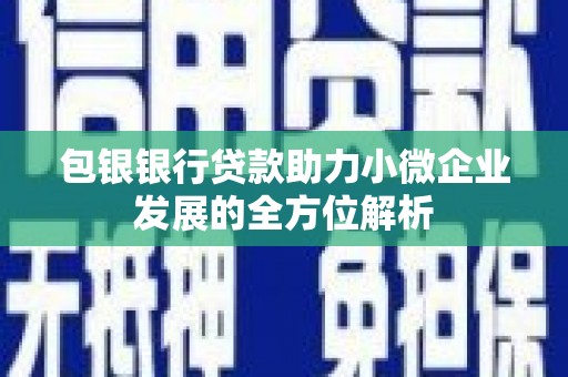 龙游包银银行贷款助力小微企业发展的全方位解析 龙游包银银行贷款助力小微企业发展的全方位解析