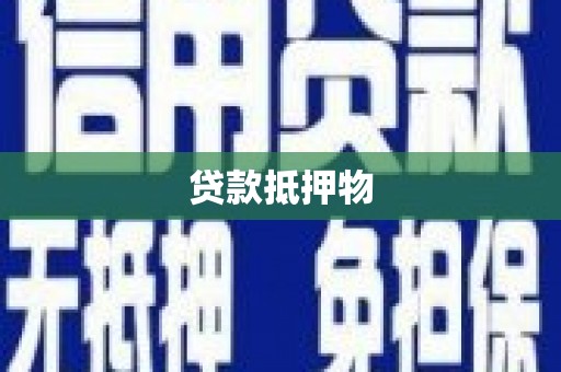 水林贷款抵押物
