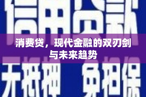 盐田消费贷，现代金融的双刃剑与未来趋势