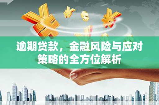 黑龙江逾期贷款，金融风险与应对策略的全方位解析