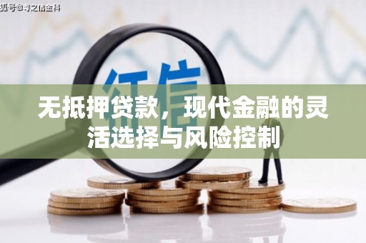 海兴无抵押贷款，现代金融的灵活选择与风险控制