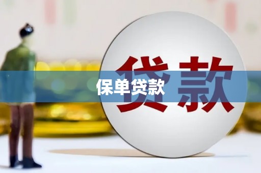 秦州保单贷款