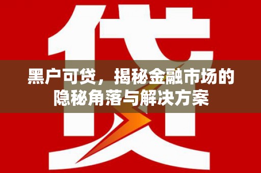 固镇黑户可贷，揭秘金融市场的隐秘角落与解决方案
