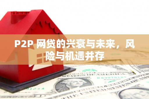 青神P2P 网贷的兴衰与未来，风险与机遇并存