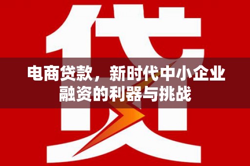 光山电商贷款，新时代中小企业融资的利器与挑战