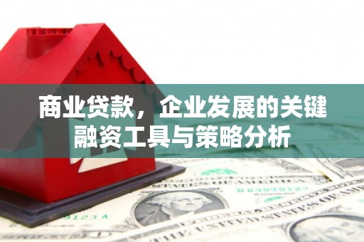 临西商业贷款，企业发展的关键融资工具与策略分析