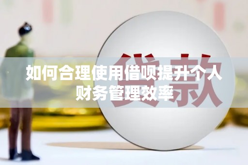 郴州如何合理使用借呗提升个人财务管理效率