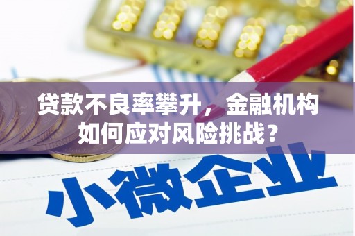 叙永贷款不良率攀升，金融机构如何应对风险挑战？