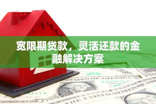 新民宽限期贷款，灵活还款的金融解决方案