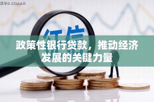 泸溪政策性银行贷款，推动经济发展的关键力量