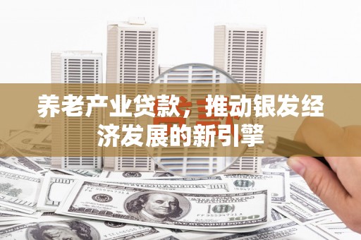 武山养老产业贷款，推动银发经济发展的新引擎