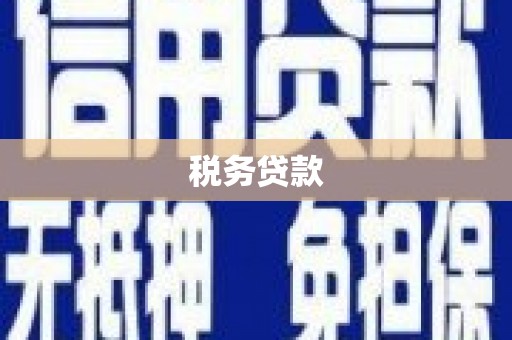 营口税务贷款