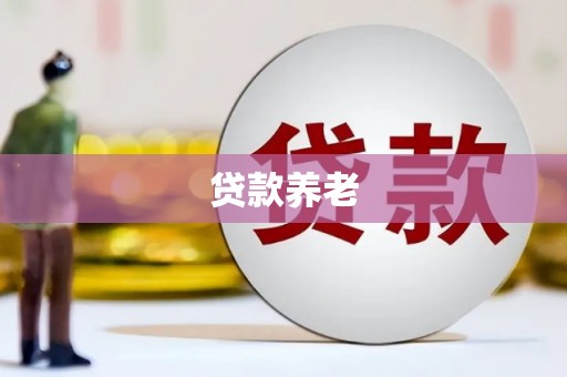 阳江贷款养老