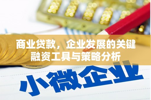 桑日商业贷款，企业发展的关键融资工具与策略分析