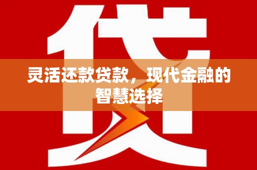 盐田灵活还款贷款，现代金融的智慧选择