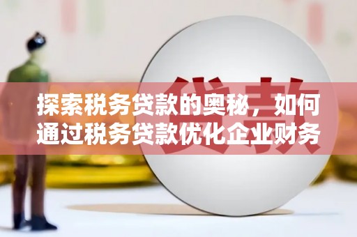 嘉定探索税务贷款的奥秘，如何通过税务贷款优化企业财务