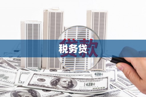 崇仁税务贷