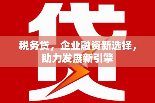 磁县税务贷，企业融资新选择，助力发展新引擎