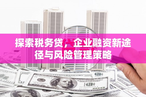 晋州探索税务贷，企业融资新途径与风险管理策略