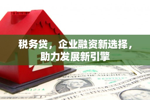 郑州税务贷，企业融资新选择，助力发展新引擎