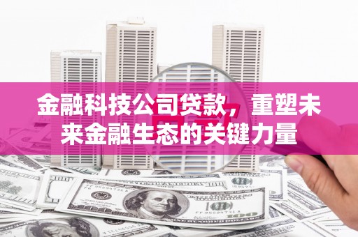 松原金融科技公司贷款，重塑未来金融生态的关键力量