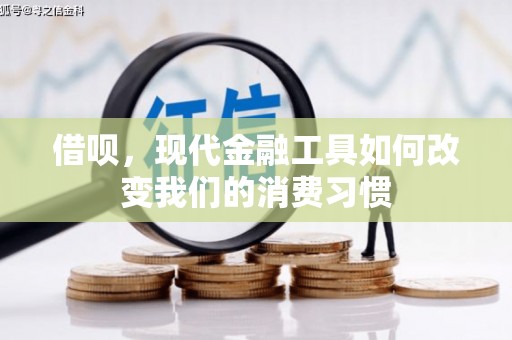 沧源借呗，现代金融工具如何改变我们的消费习惯
