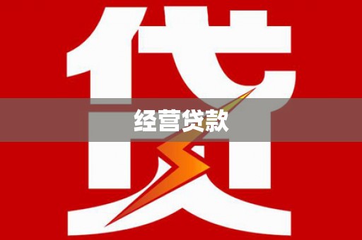 南涧经营贷款