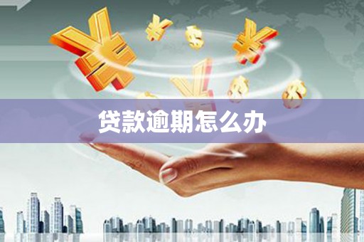 泰武贷款逾期怎么办