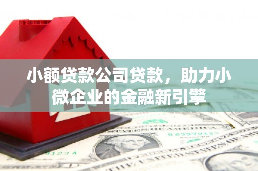 泸水小额贷款公司贷款，助力小微企业的金融新引擎