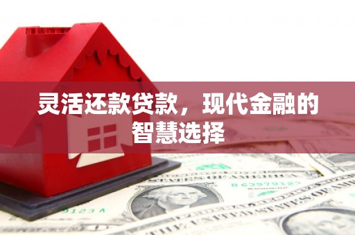 亳州灵活还款贷款，现代金融的智慧选择